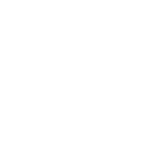 cockroach